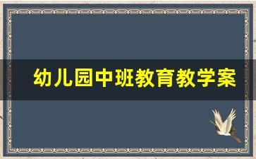 幼儿园中班教育教学案例_幼儿园教育教学案例大班