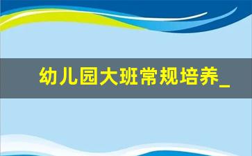 幼儿园大班常规培养_大班常规培养内容100条