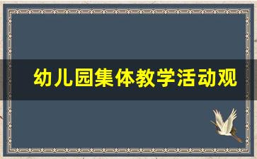 幼儿园集体教学活动观察记录