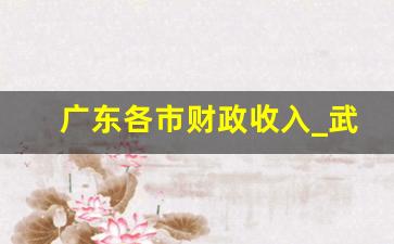 广东各市财政收入_武汉市历年财政收入