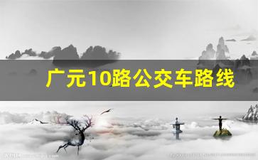 广元10路公交车路线