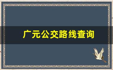 广元公交路线查询