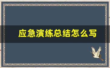 应急演练总结怎么写