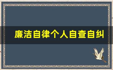 廉洁自律个人自查自纠