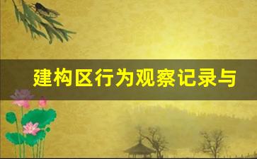 建构区行为观察记录与分析_大班搭建房子观察记录