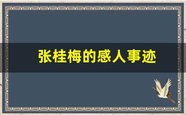 张桂梅的感人事迹