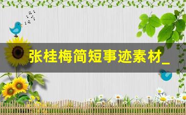 张桂梅简短事迹素材_张桂梅老师事迹简短50字