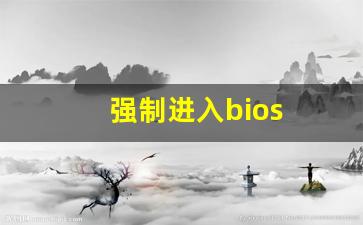 强制进入bios