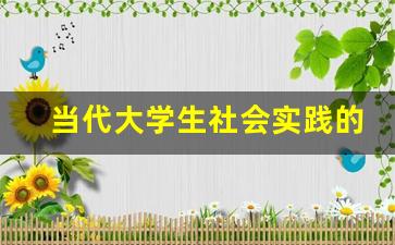 当代大学生社会实践的意义_实践对个人发展的意义