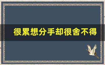 很累想分手却很舍不得