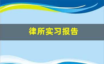 律所实习报告