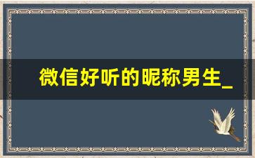 微信好听的昵称男生_网名大全2023最新版