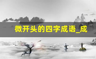 微开头的四字成语_成语接龙大全500个