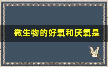 微生物的好氧和厌氧是按什么分的_需氧菌和厌氧菌区别