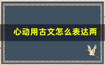 心动用古文怎么表达两字_心动的感觉用古文怎么说