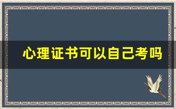 心理证书可以自己考吗_儿童心理学证书报考条件