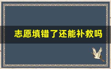 志愿填错了还能补救吗_高考志愿填错后悔一辈子