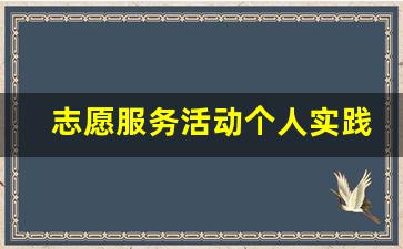 志愿服务活动个人实践小结