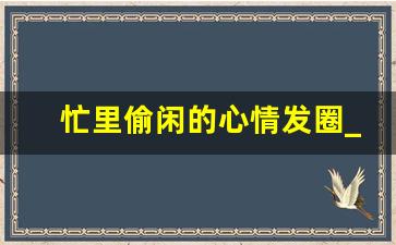 忙里偷闲的心情发圈_忙里偷得半日闲,浮生若梦看苍狗