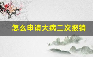 怎么申请大病二次报销_职工医保怎样才能二次报销