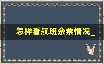 怎样看航班余票情况_机票余票充足是最少多少