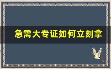 急需大专证如何立刻拿到_怎样考大专毕业证最快