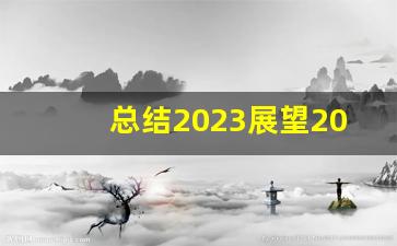 总结2023展望2024