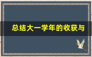 总结大一学年的收获与不足_大一结束个人总结