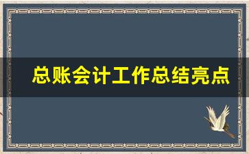 总账会计工作总结亮点_应聘财务会计个人简历模板