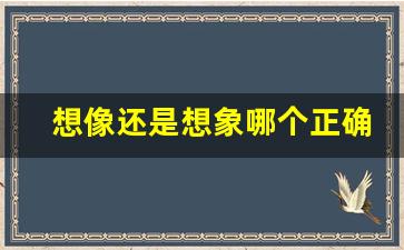 想像还是想象哪个正确知乎_想象的确