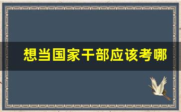 想当国家干部应该考哪个大学_普通人从政有多难