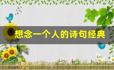 想念一个人的诗句经典_字字不提想念却又字字都在想念