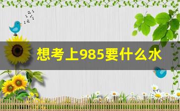 想考上985要什么水平_退步最大的985大学