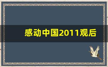 感动中国2011观后感_2017感动中国