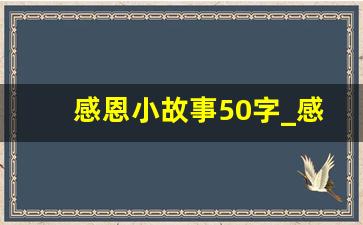 感恩小故事50字_感恩的小故事50字左右简短