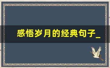 感悟岁月的经典句子_人到中年的精辟感悟