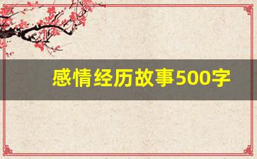 感情经历故事500字