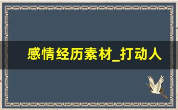 感情经历素材_打动人心的情感小故事