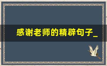 感谢老师的精辟句子_高情商回答老师的辛苦