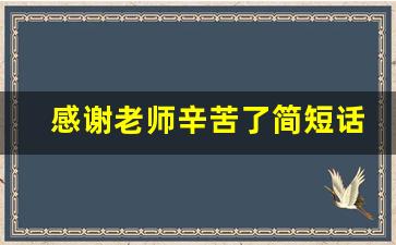 感谢老师辛苦了简短话_四个字暖心夸赞老师