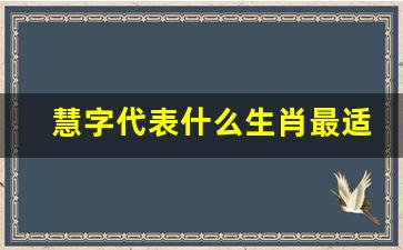 慧字代表什么生肖最适合