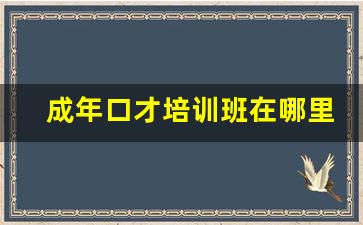 成年口才培训班在哪里_成人口才培训班费用大概是多少