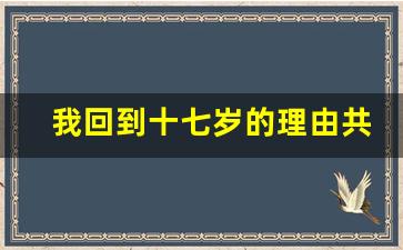 我回到十七岁的理由共多少集