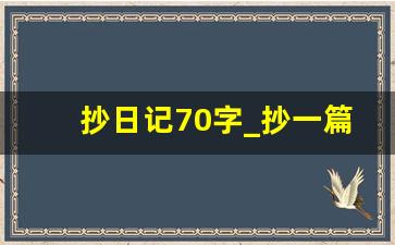 抄日记70字_抄一篇日记60个字