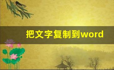 把文字复制到word文档