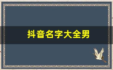 抖音名字大全男