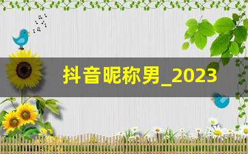 抖音昵称男_2023最火抖音名字