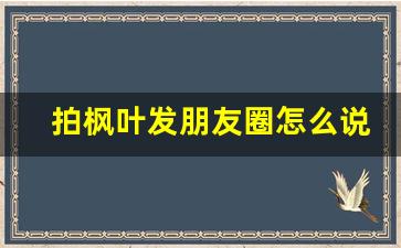 拍枫叶发朋友圈怎么说好_枫叶与人生唯美句子