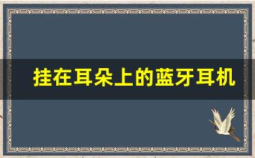 挂在耳朵上的蓝牙耳机_挂在脖子上的蓝牙耳机