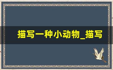 描写一种小动物_描写小动物作文50字以上